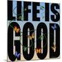 Life Is Good-Mark Ashkenazi-Mounted Giclee Print