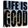 Life Is Good-Mark Ashkenazi-Stretched Canvas