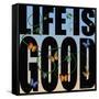 Life Is Good-Mark Ashkenazi-Framed Stretched Canvas