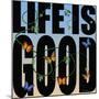 Life Is Good-Mark Ashkenazi-Mounted Giclee Print