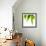 Life Is Green-Philippe Sainte-Laudy-Framed Photographic Print displayed on a wall