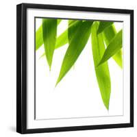 Life Is Green-Philippe Sainte-Laudy-Framed Photographic Print