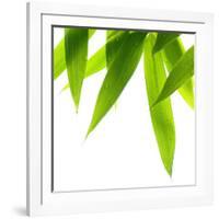 Life Is Green-Philippe Sainte-Laudy-Framed Photographic Print