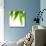 Life Is Green-Philippe Sainte-Laudy-Mounted Photographic Print displayed on a wall