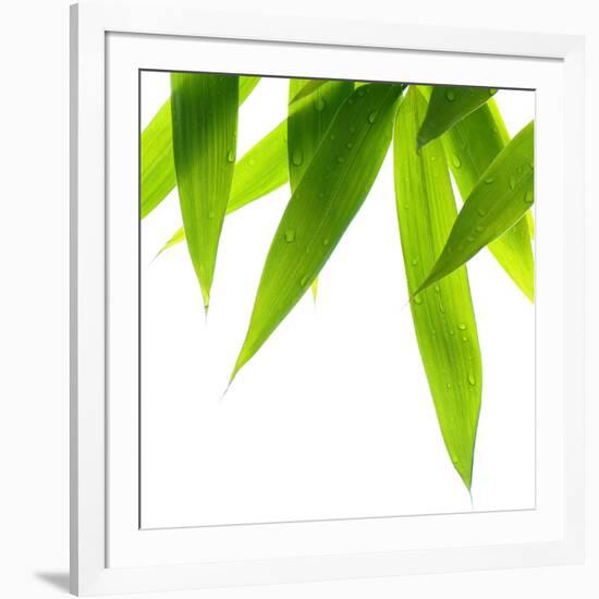 Life Is Green-Philippe Sainte-Laudy-Framed Photographic Print