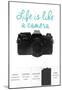 Life Is Like A Camera-null-Mounted Poster