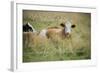 Life Is Simple-Cora Niele-Framed Giclee Print