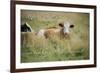 Life Is Simple-Cora Niele-Framed Giclee Print
