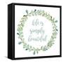 Life is Simply Beautiful-Lanie Loreth-Framed Stretched Canvas