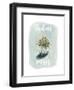 Life is Succulent III-Grace Popp-Framed Art Print