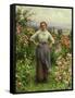 Life Is Sweet-Daniel Ridgway Knight-Framed Stretched Canvas