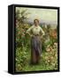 Life Is Sweet-Daniel Ridgway Knight-Framed Stretched Canvas