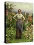 Life Is Sweet-Daniel Ridgway Knight-Stretched Canvas