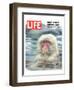 LIFE Japan Snow Monkey-Ecology-null-Framed Premium Giclee Print