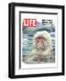 LIFE Japan Snow Monkey-Ecology-null-Framed Premium Giclee Print