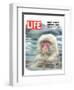 LIFE Japan Snow Monkey-Ecology-null-Framed Art Print
