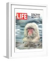 LIFE Japan Snow Monkey-Ecology-null-Framed Art Print