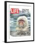 LIFE Japan Snow Monkey-Ecology-null-Framed Art Print