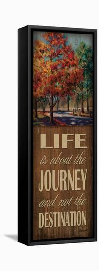 Life Journey-Todd Williams-Framed Stretched Canvas
