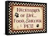 Life Necessities-Diane Stimson-Framed Stretched Canvas