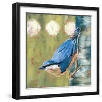 Life Nuthatch-Molly Reeves-Framed Photographic Print