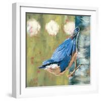 Life Nuthatch-Molly Reeves-Framed Photographic Print