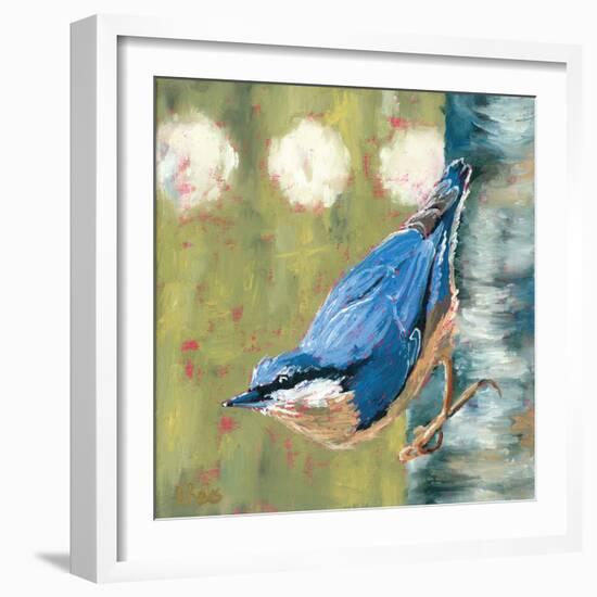 Life Nuthatch-Molly Reeves-Framed Photographic Print