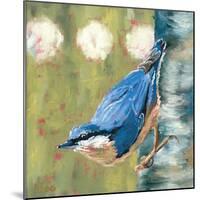 Life Nuthatch-Molly Reeves-Mounted Photographic Print