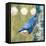 Life Nuthatch-Molly Reeves-Framed Stretched Canvas