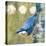 Life Nuthatch-Molly Reeves-Stretched Canvas