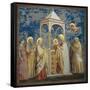 Life of Chris, Presentation at the Temple-Giotto di Bondone-Framed Stretched Canvas
