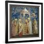 Life of Chris, Presentation at the Temple-Giotto di Bondone-Framed Art Print