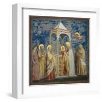 Life of Chris, Presentation at the Temple-Giotto di Bondone-Framed Art Print