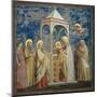 Life of Chris, Presentation at the Temple-Giotto di Bondone-Mounted Art Print