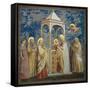 Life of Chris, Presentation at the Temple-Giotto di Bondone-Framed Stretched Canvas