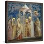 Life of Chris, Presentation at the Temple-Giotto di Bondone-Stretched Canvas