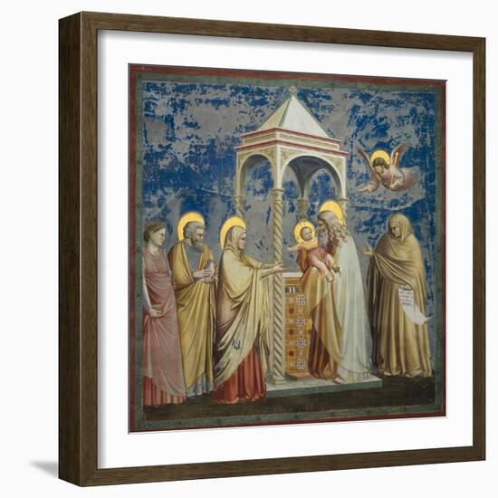 Life of Chris, Presentation at the Temple-Giotto di Bondone-Framed Art Print