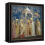 Life of Chris, Presentation at the Temple-Giotto di Bondone-Framed Stretched Canvas