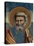 Life of Christ, Joseph in the Flight into Egypt-Giotto di Bondone-Stretched Canvas