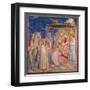 Life of Christ, The Adoration of the Magi-Giotto di Bondone-Framed Art Print