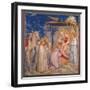 Life of Christ, The Adoration of the Magi-Giotto di Bondone-Framed Art Print