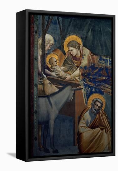 Life of Christ, the Nativity in the Stable-Giotto di Bondone-Framed Stretched Canvas