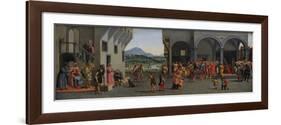 Life of the Young Tobias-Francesco Granacci-Framed Giclee Print