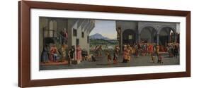 Life of the Young Tobias-Francesco Granacci-Framed Giclee Print