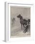 Life on Lake Winnipeg, in the Nick of Time-John Charlton-Framed Giclee Print