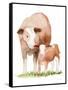 Life on the Farm Animal Element I-Kathleen Parr McKenna-Framed Stretched Canvas