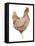 Life on the Farm Chicken Element III-Kathleen Parr McKenna-Framed Stretched Canvas