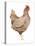 Life on the Farm Chicken Element III-Kathleen Parr McKenna-Stretched Canvas