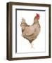 Life on the Farm Chicken Element III-Kathleen Parr McKenna-Framed Art Print