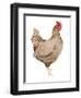 Life on the Farm Chicken Element III-Kathleen Parr McKenna-Framed Art Print